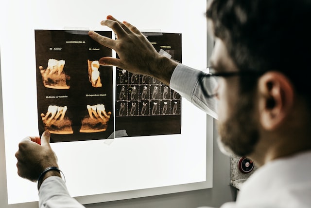Dentist examining x-ray
